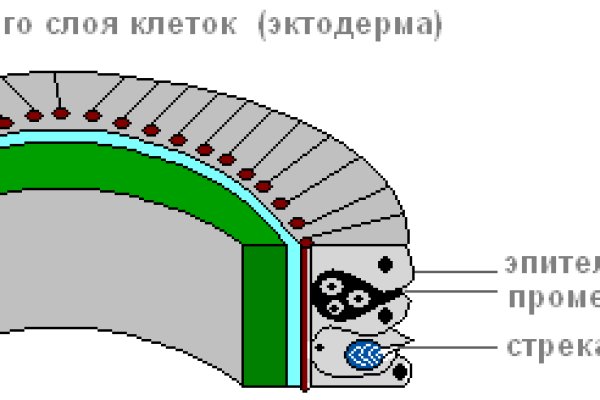 Блэкспрут ссылка blacksprut 1blacksprut me