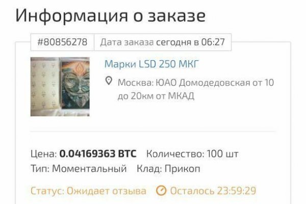 Блэк спрут не работает blackprut com