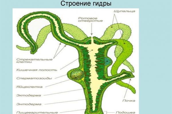 Блэк спрут что за сайт bs2web top